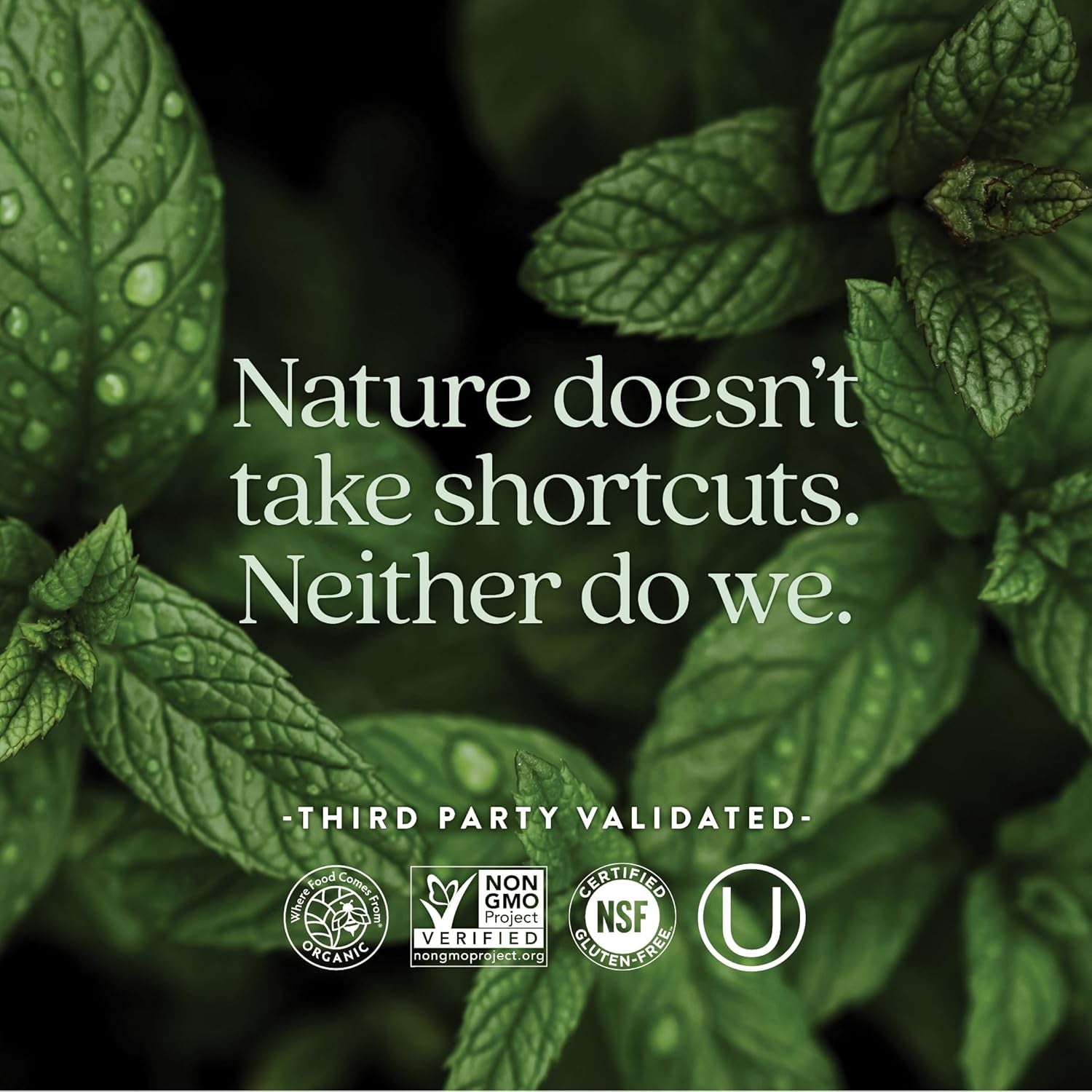 New Chapter Women’S Multivitamin 55+, Astaxanthin, B6, B12, D3, Vitamin C & Zinc, Immune, Heart, Cellular Energy, and Bone Support, Gentle on the Stomach, One Daily, Non-Gmo, Gluten-Free, 72 Tablets