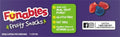 Funables Fruity Snacks, Mixed Berry Fruit Flavored Snacks, 0.8 Ounce Pouches (Pack of 10)
