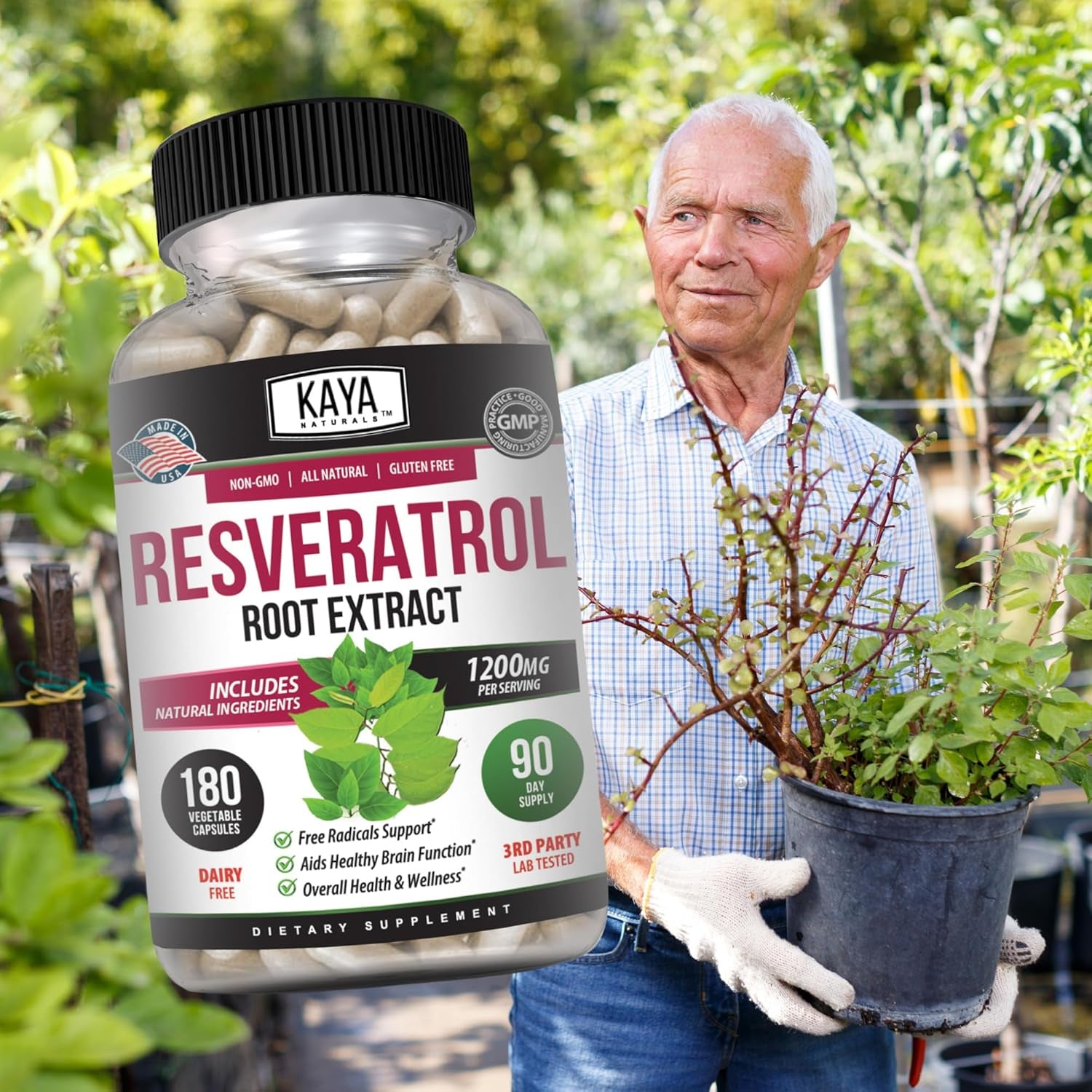 Naturals - Resveratrol Capsules - anti Aging Supplement - Antioxidants with Brain Support - Maximum Benefits - 180 Veggies Capsules