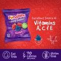 Funables Fruity Snacks, Mixed Berry Fruit Flavored Snacks, 0.8 Ounce Pouches (Pack of 10)