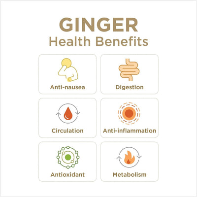The Ginger People Crystallized Ginger Candy, 3.5 Ounce (Pack of 1)