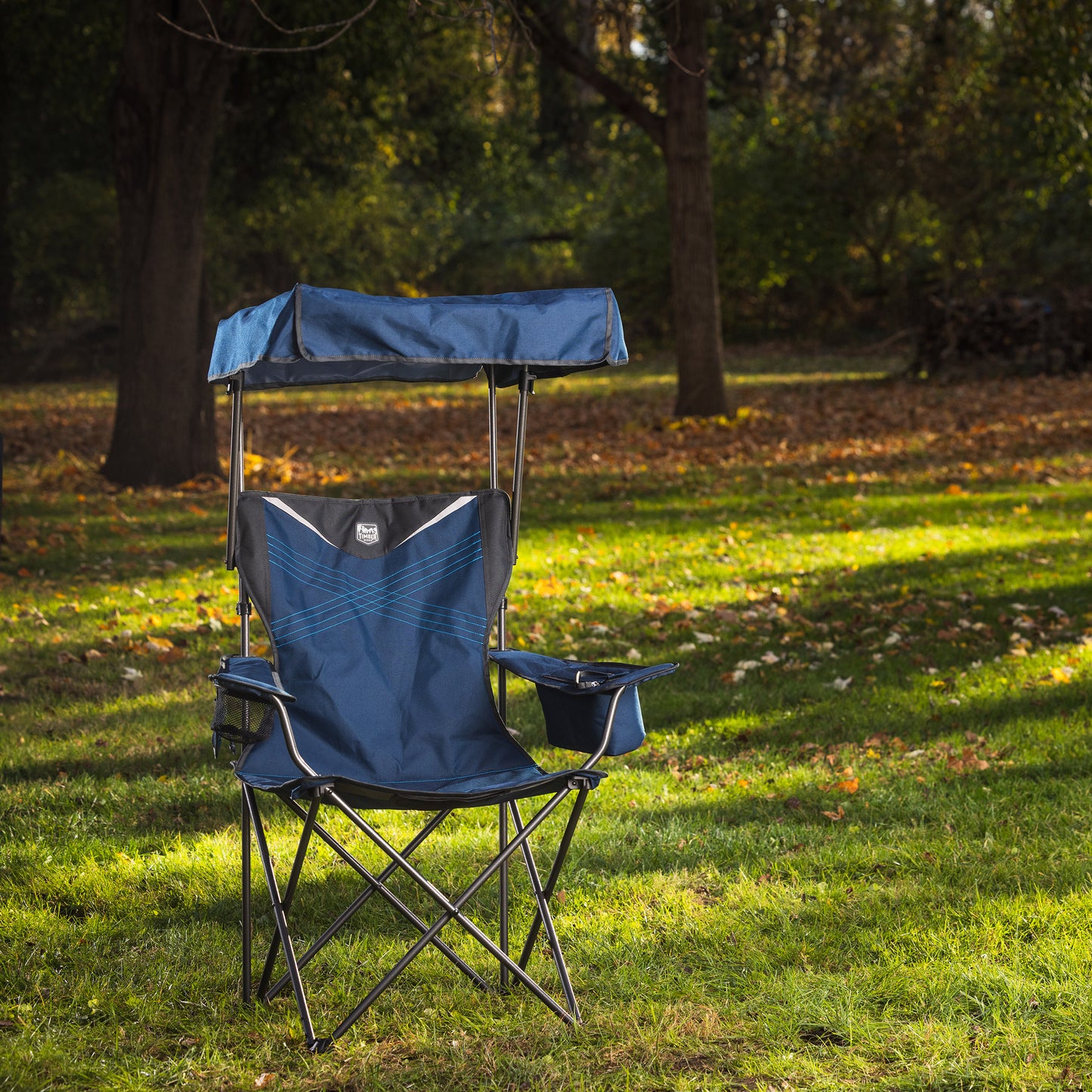Timber Ridge Canopy Chair, 2-Pack