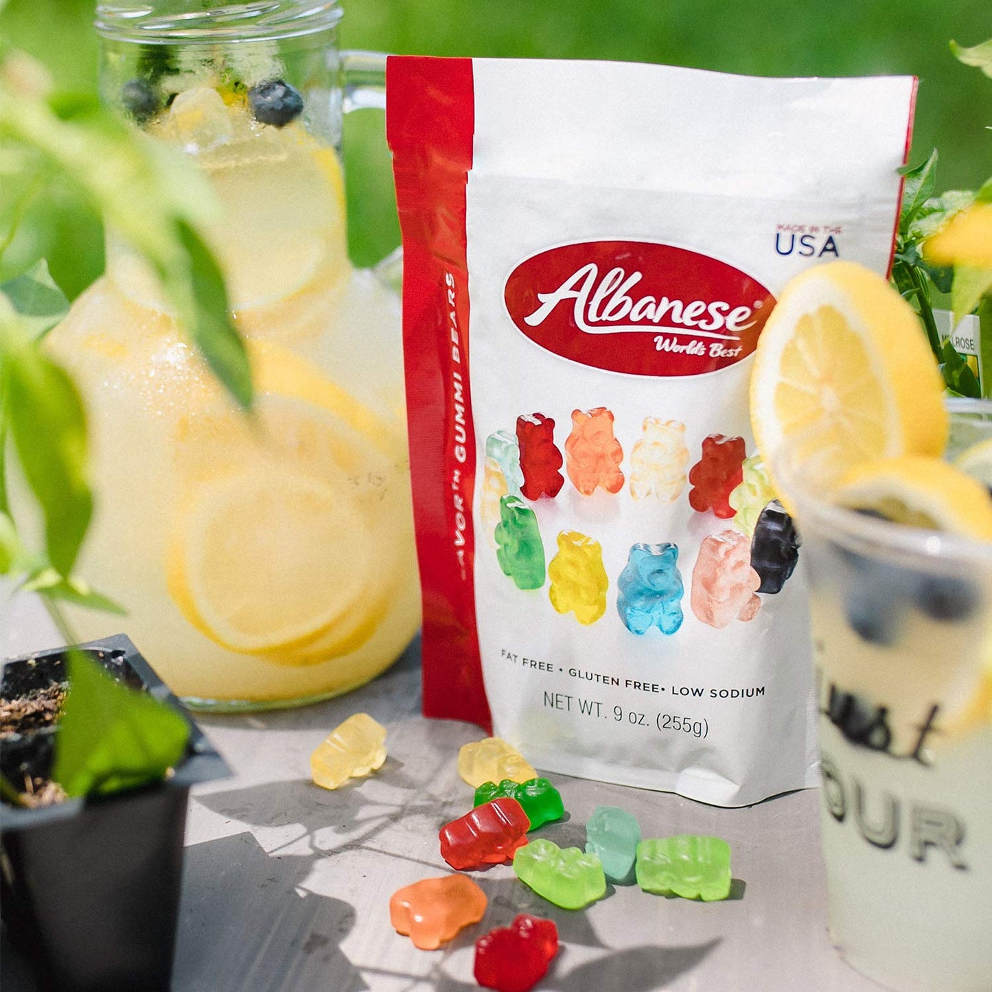 Albanese World'S Best 12 Flavor Gummi Bears , 9Oz Case of 12