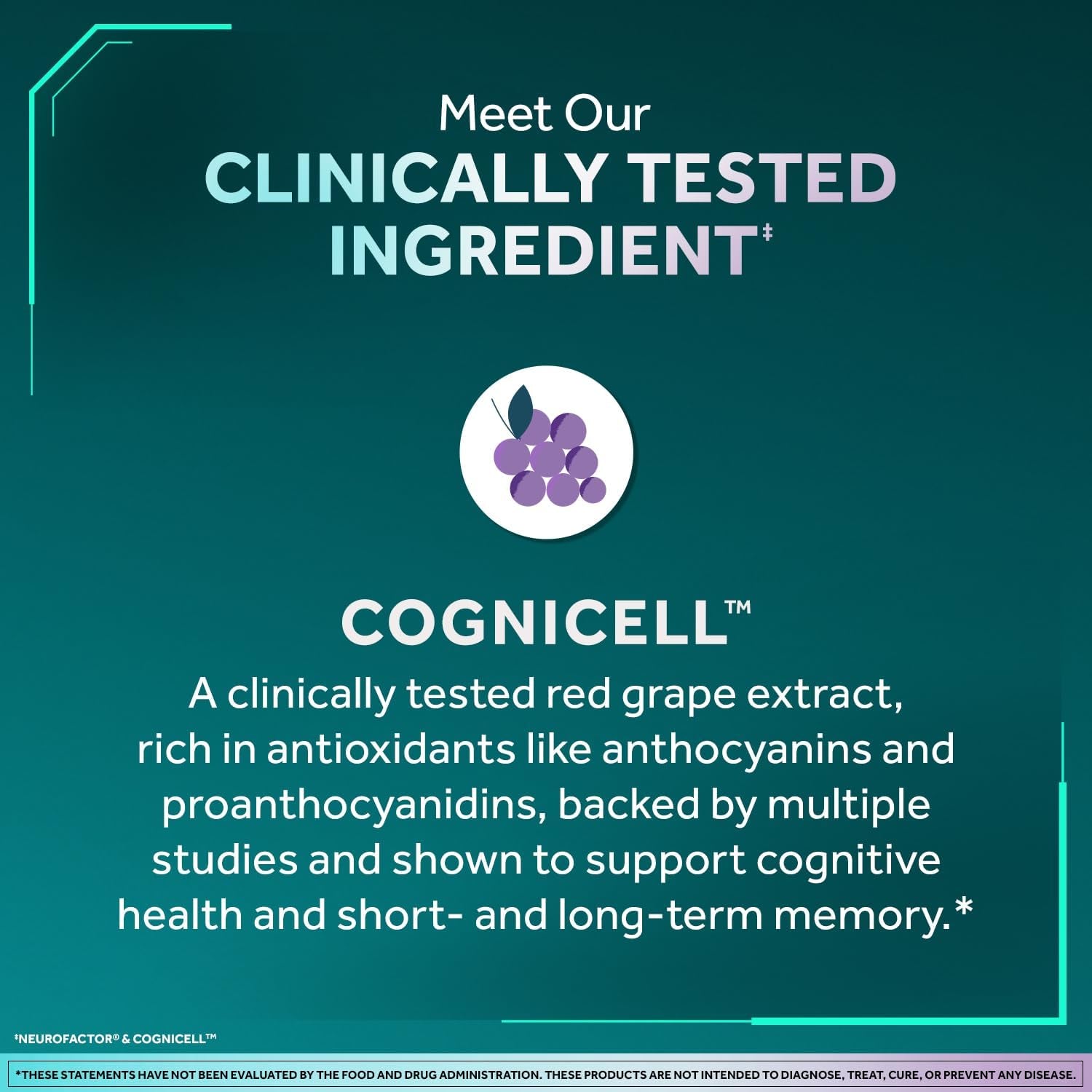 NEURIVA Memory 3D Brain Supplement - Decaffeinated Nootropic Capsules for Memory, Focus, & Cognitive Function - Short Term, Long Term, & Working Memory Support - 50Ct