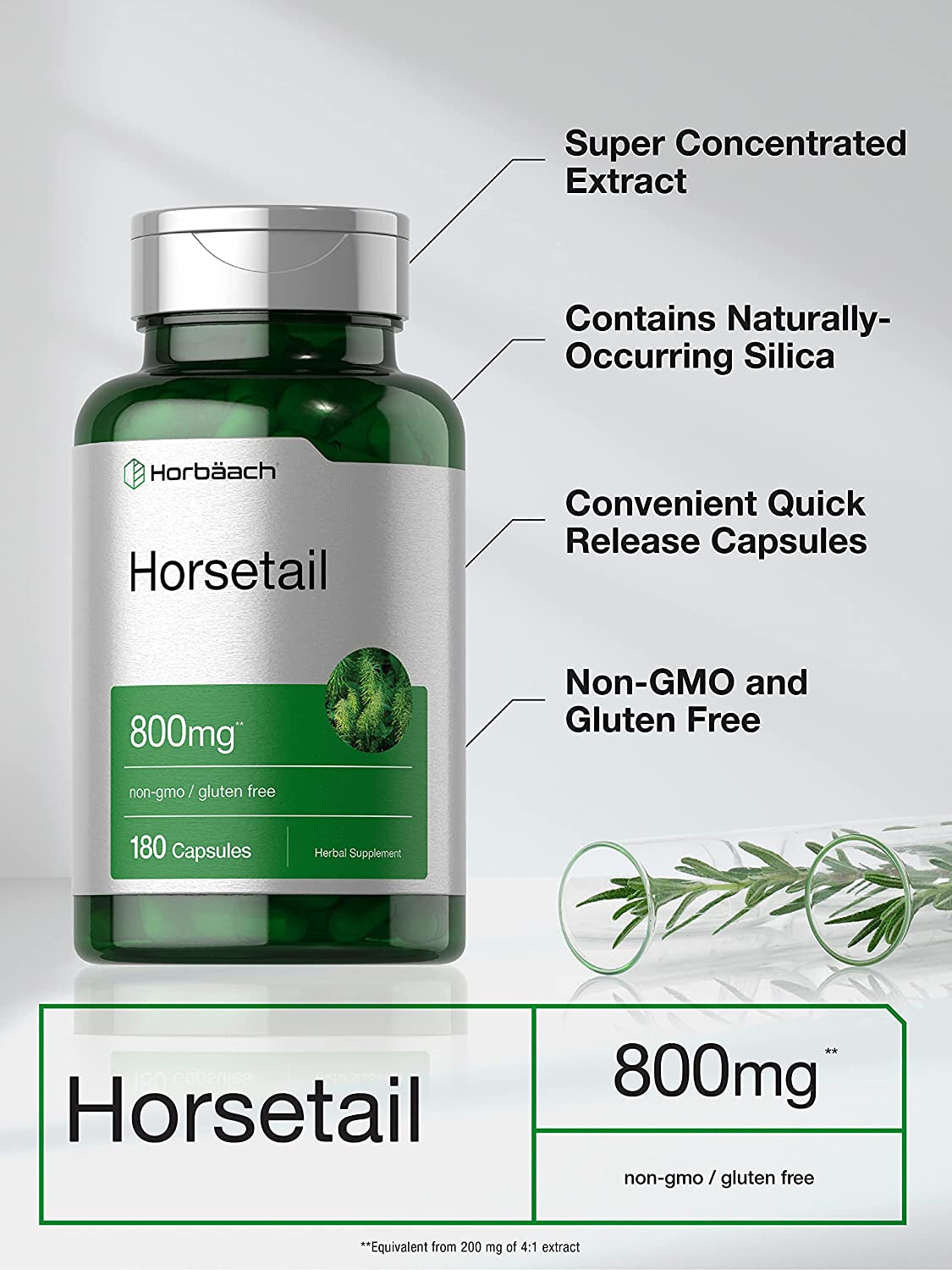 Horbäach Horsetail Herb Capsules 800Mg | 180 Count | Non-Gmo, Gluten Free Herb Extract Supplement