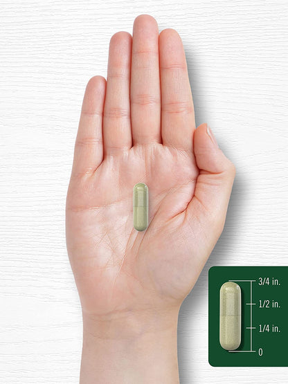 Carlyle Indole-3-Carbinol (I3C) 400Mg | 120 Capsules | Advanced Formula with Broccoli Extract | Non-Gmo, Gluten Free