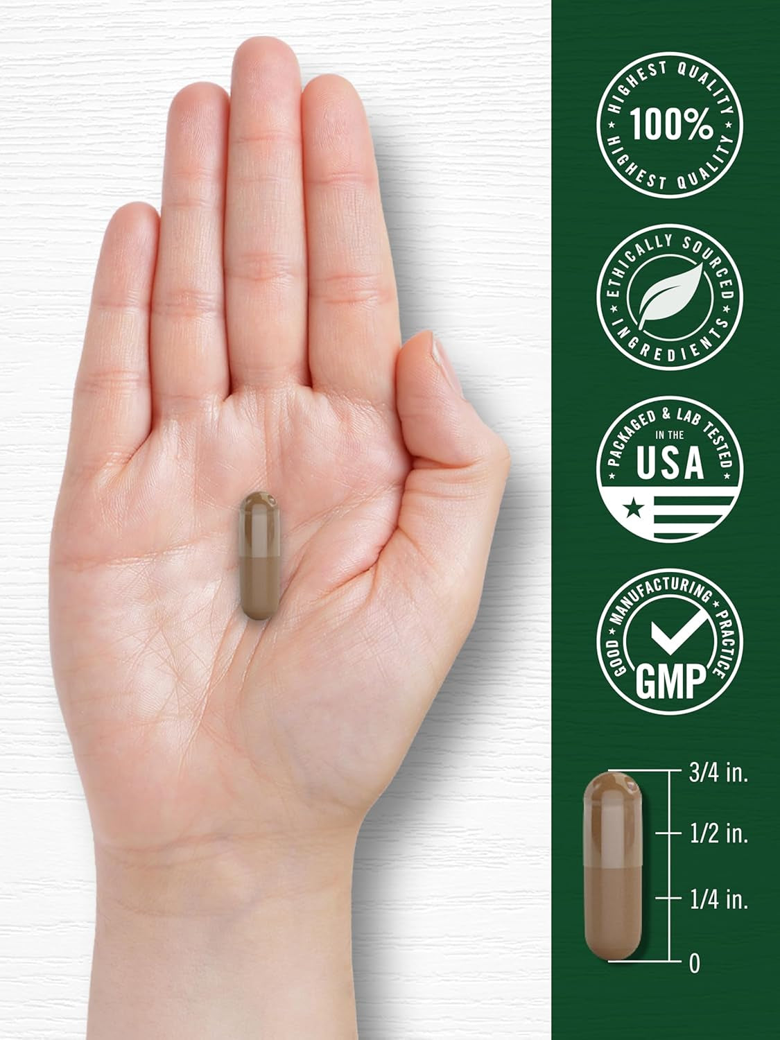 Carlyle Valerian Root Capsules 2400Mg | 240 Count | Herb Extract Supplement | Non-Gmo, Gluten Free