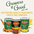 Del Monte Canned Diced Tomatoes Zesty Chili Style, 14.5 Ounce