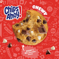 CHIPS AHOY! Chewy Hershey'S S'Mores Milk Chocolate Chip Cookies, Limited Edition, 9.6 Oz Packs