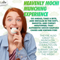Fusion Select Mochi Daifuku Snacks - Traditional Japanese Rice Cakes with Filling - Flavored Asian Sweet Desserts for Family - Chewy and Soft Texture (Sesame)