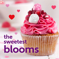 Brach'S Valentine'S Mellowcreme Roses Candy, Valentine'S Day Candy, 11Oz