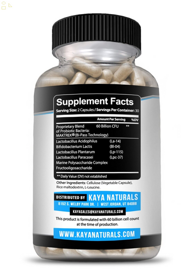 Probiotic 60 Billion with Prebiotics, Immune Function, Healthy Digestion 60 Ct