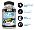 Organic Irish Sea Moss, Bladderwrack & Burdock, Thyroid & Immune Support