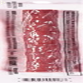 CHOMPS Original Beef Stick, 1.15 OZ