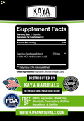 (2 Pack) Pure Garcinia Cambogia for , Energy, Metabolism, Fat Burning