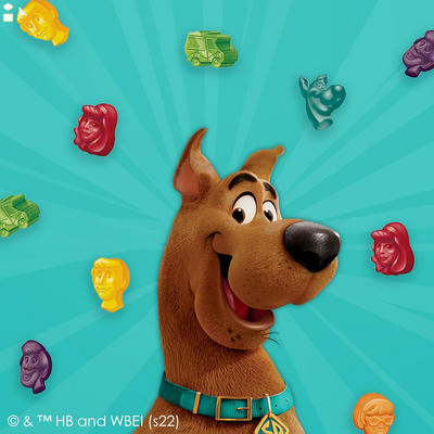 Scooby Doo Fruit Flavored Snacks, Treat Pouches, 10 Ct
