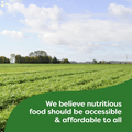 Knorr Pasta Sides Chicken Fettuccine for Delicious Quick Pasta Side Dishes No Artificial Flavors or Preservatives 4.3 Oz