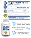 Turmeric Curcumin & Ginger- Joint Pain, Energy, Mood Booster, Brain Function