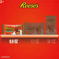 REESE'S Miniatures Milk Chocolate Peanut Butter Cups, Christmas Candy Bag, 9.9 Oz