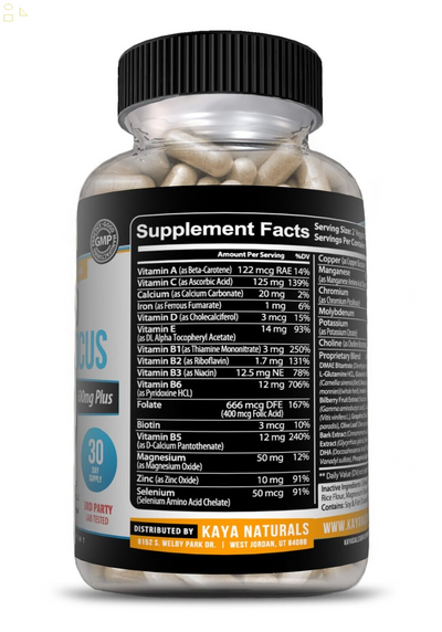 Nootropic Brain Booster 60Ct, Healthy Brain Memory Support, Nootropic Supplement