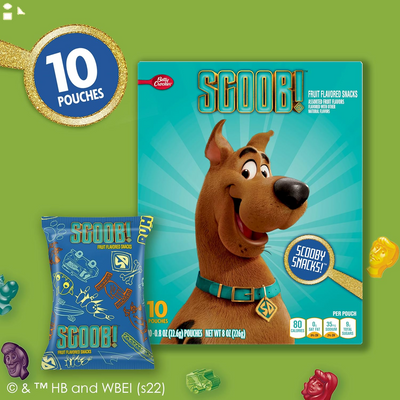 Scooby Doo Fruit Flavored Snacks, Treat Pouches, 10 Ct