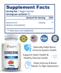 Premium Berberine HCL 1200Mg Healthy Cholesterol, Anti-Inflammat