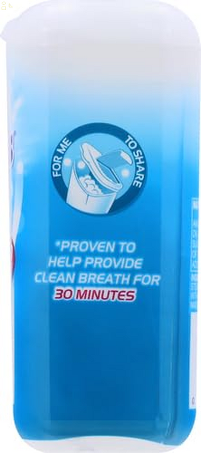 Mentos Wintergreen Mint, 150Count