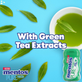 Mentos Pure Sugar-Free Chewing Gum with Xylitol, Spearmint, 50 Piece Bottle