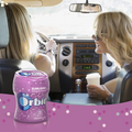Orbit Bubblemint Sugarfree Gum, 55 Piece Bottle
