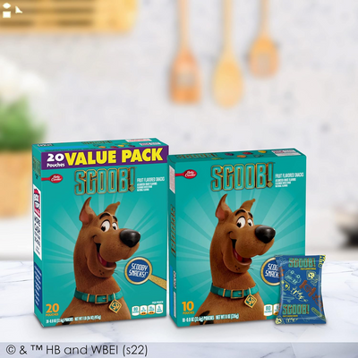 Scooby Doo Fruit Flavored Snacks, Treat Pouches, 10 Ct