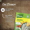 Knorr Vegetable Soup Mix No Artificial Flavors Ready-To-Eat in 20 Minutes Vegetable Soup Mix, 1.4 Oz Pouch