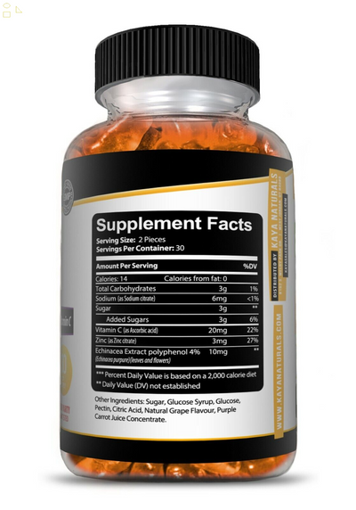 Immune Support Gummies, Zinc, Vitamin C & Echinacea, Great Flavored Gummy