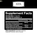 Ginkgo Biloba + Ginseng Extract Red Panax Focus Brain Memory Metabolism Booster