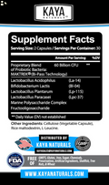 Probiotic 60 Billion with Prebiotics, Immune Function, Healthy Digestion 60 Ct
