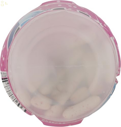 Orbit Bubblemint Sugarfree Gum, 55 Piece Bottle