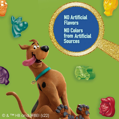 Scooby Doo Fruit Flavored Snacks, Treat Pouches, 10 Ct